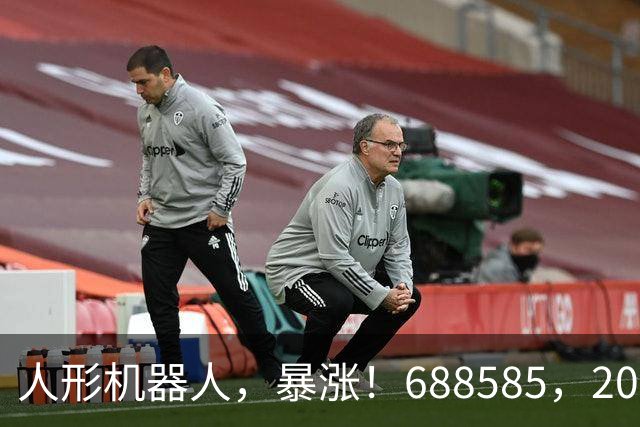 人形机器人，暴涨！688585，20cm涨停！