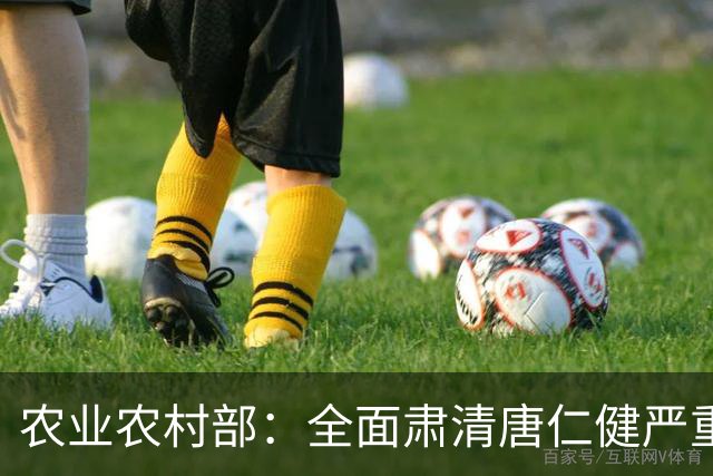农业农村部：全面肃清唐仁健严重违纪违法案件负面影响，深入推进风腐同查同治