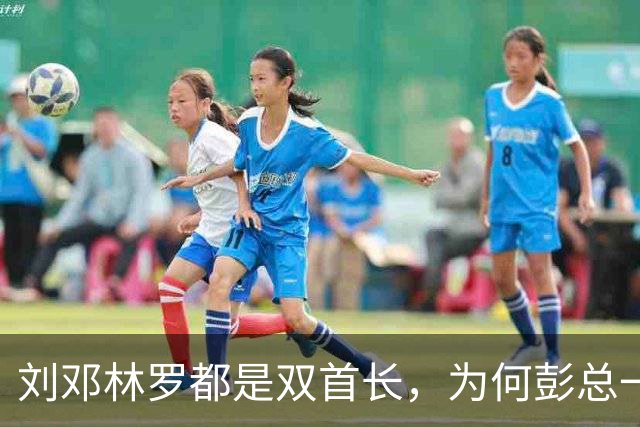 刘邓林罗都是双首长，为何彭总一直是司令兼政委？毛主席的用人算术