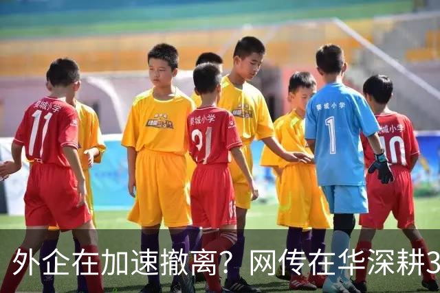 外企在加速撤离？网传在华深耕30年的行业巨头将出售大中华区业务，上万员工该失业了！