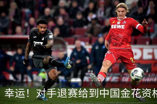 幸运！对手退赛给到中国金花资格，王欣瑜晋级WTA500东京站正赛