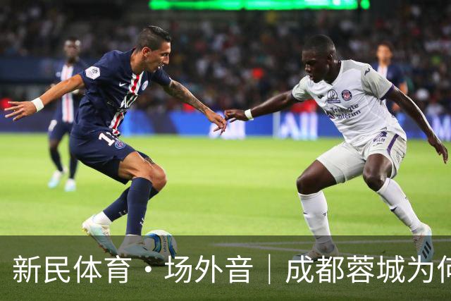 新民体育·场外音｜成都蓉城为何快成“笑话”了？