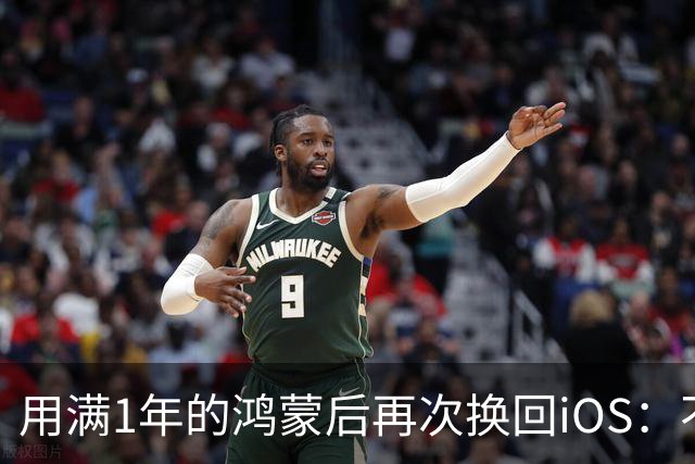 用满1年的鸿蒙后再次换回iOS：不吹不黑，憋了满肚子的心里话想说