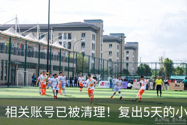 相关账号已被清理！复出5天的小杨哥，就撞上难堪一幕