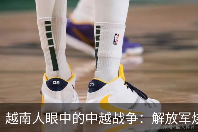 越南人眼中的中越战争：解放军烧杀抢掠，什么都要，真相究竟如何？
