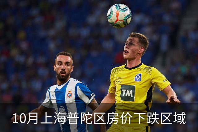 10月上海普陀区房价下跌区域