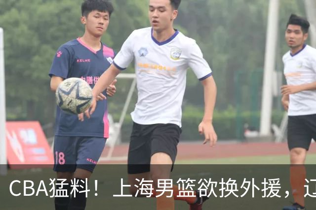 CBA猛料！上海男篮欲换外援，辽宁四将受伤，刘维伟国骂浙江球迷被罚